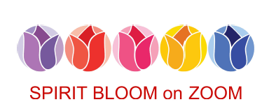 Screen Shot 2021-05-09 at 11.01.53 AM